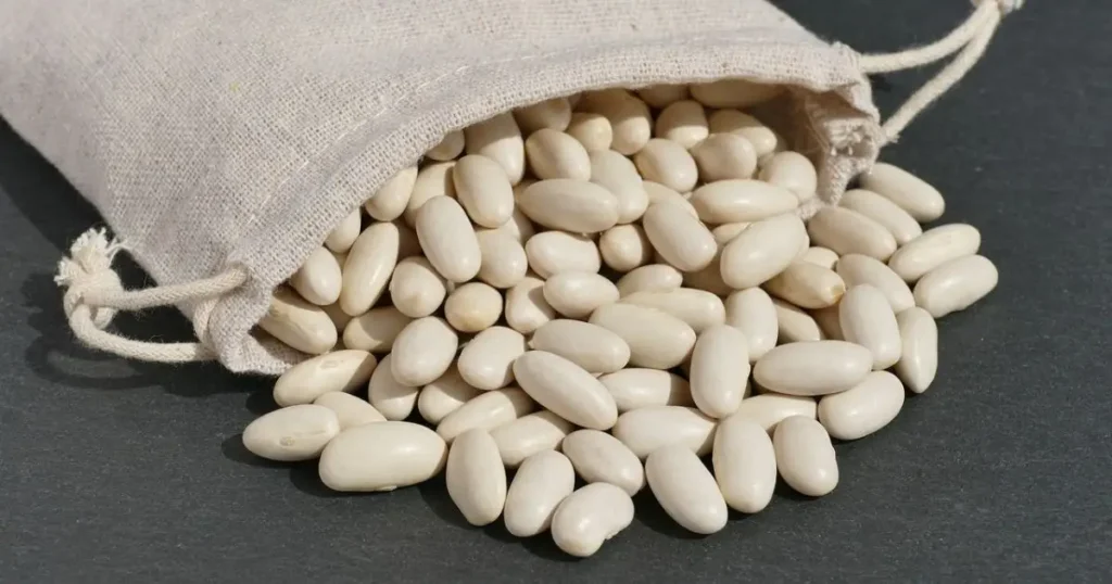 navy beans